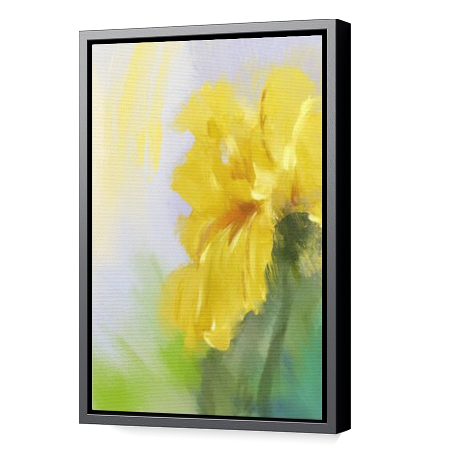 Thumbnail for Canvas - Black Floating Frame