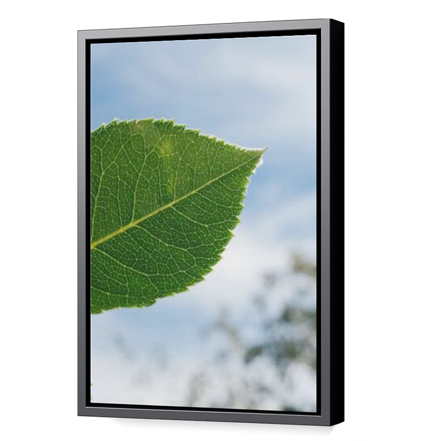 Thumbnail for Canvas - Black Floating Frame