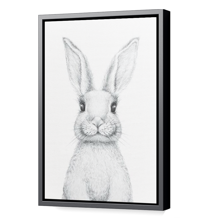 Thumbnail for Canvas - Black Floating Frame