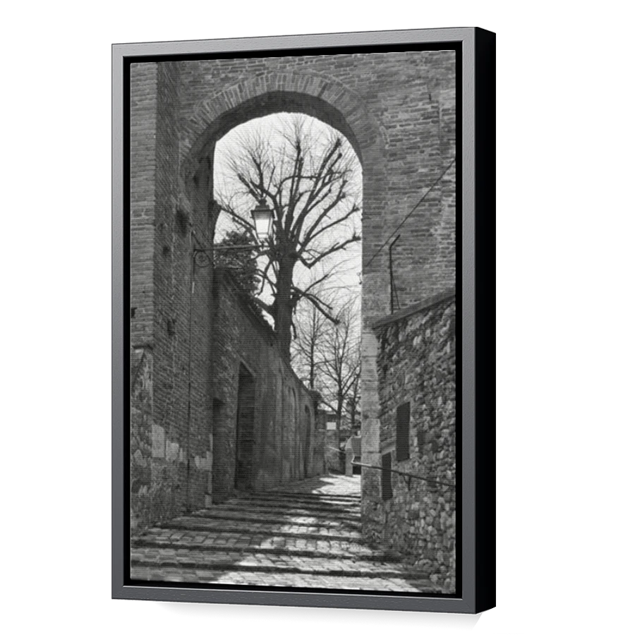 Thumbnail for Canvas - Black Floating Frame