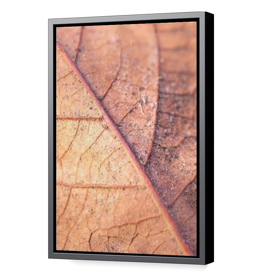 Thumbnail for Canvas - Black Floating Frame