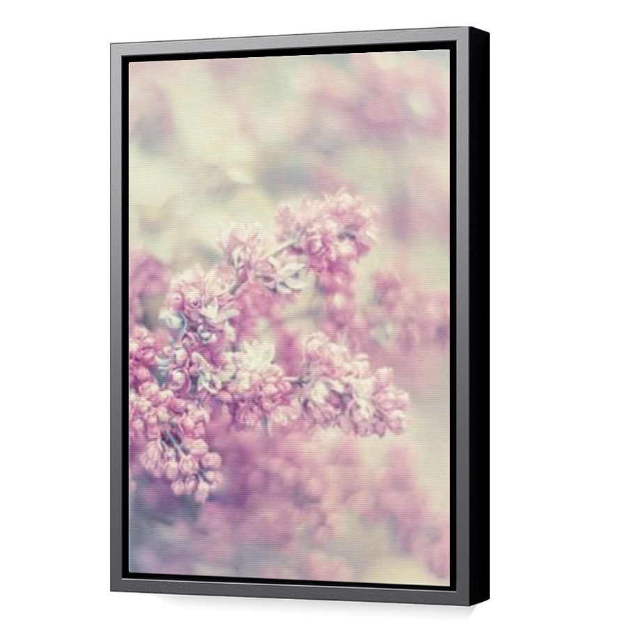 Thumbnail for Canvas - Black Floating Frame