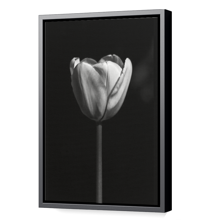 Thumbnail for Canvas - Black Floating Frame