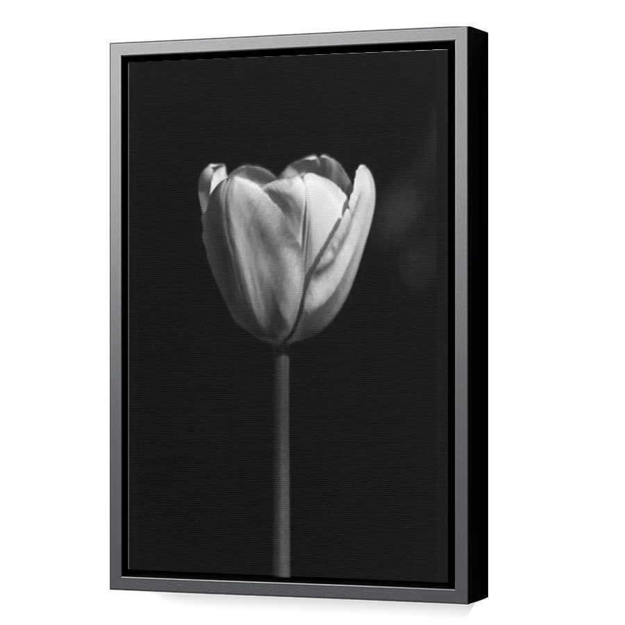 Thumbnail for Canvas - Black Floating Frame