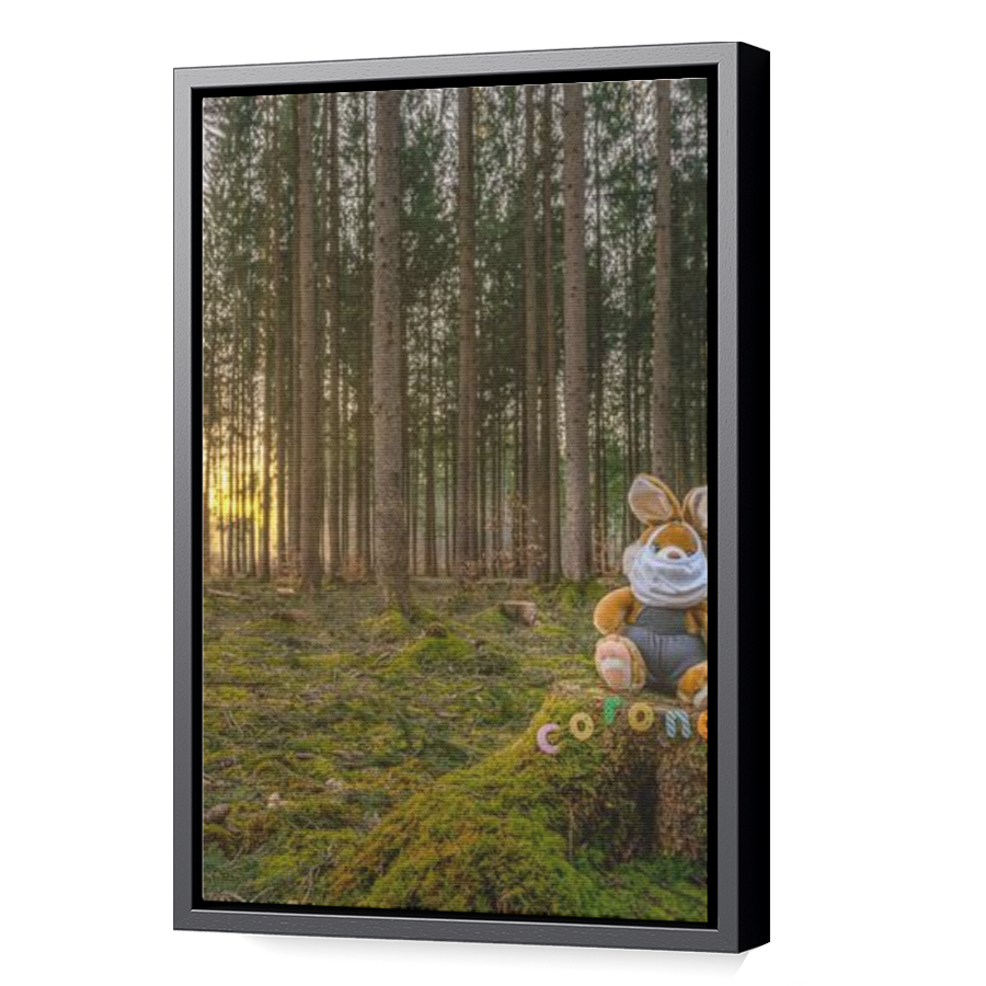 Thumbnail for Canvas - Black Floating Frame