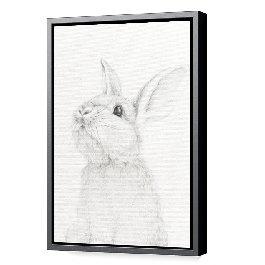 Thumbnail for Canvas - Black Floating Frame