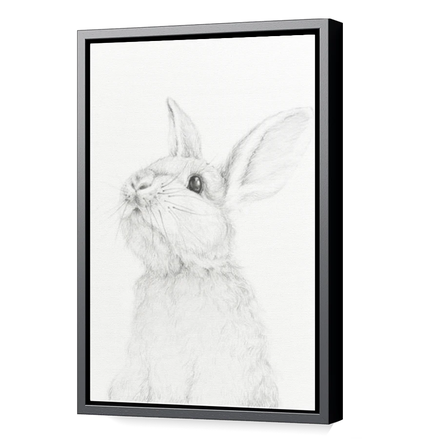 Thumbnail for Canvas - Black Floating Frame