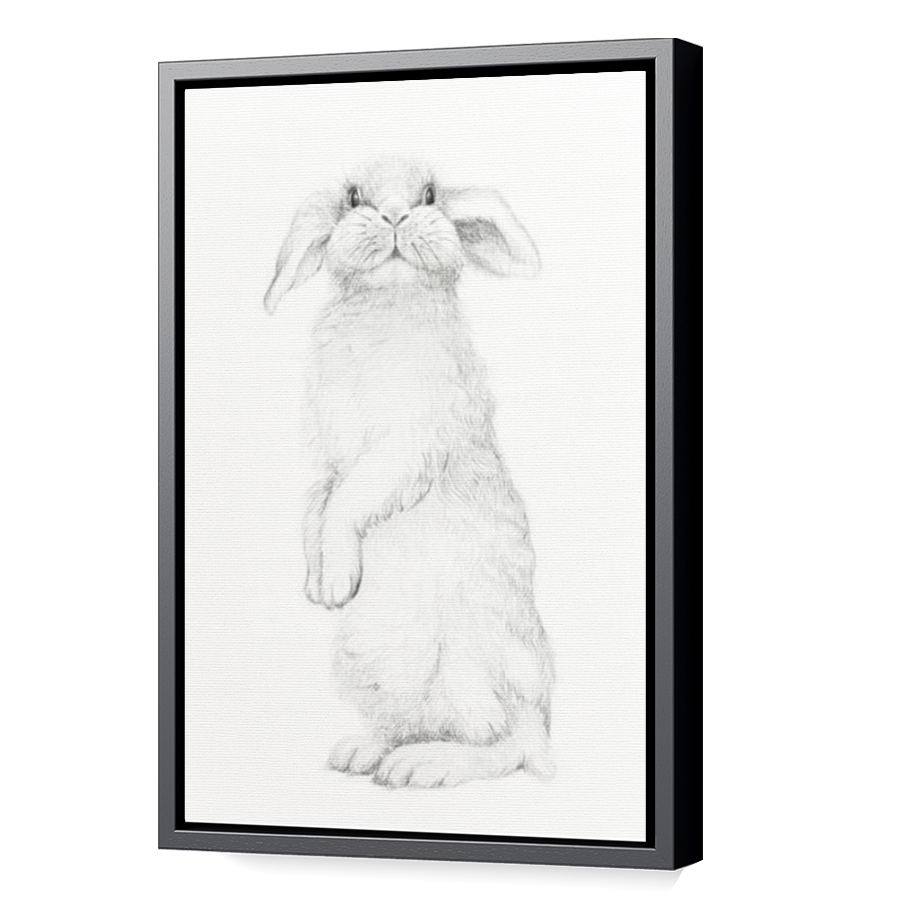 Thumbnail for Canvas - Black Floating Frame