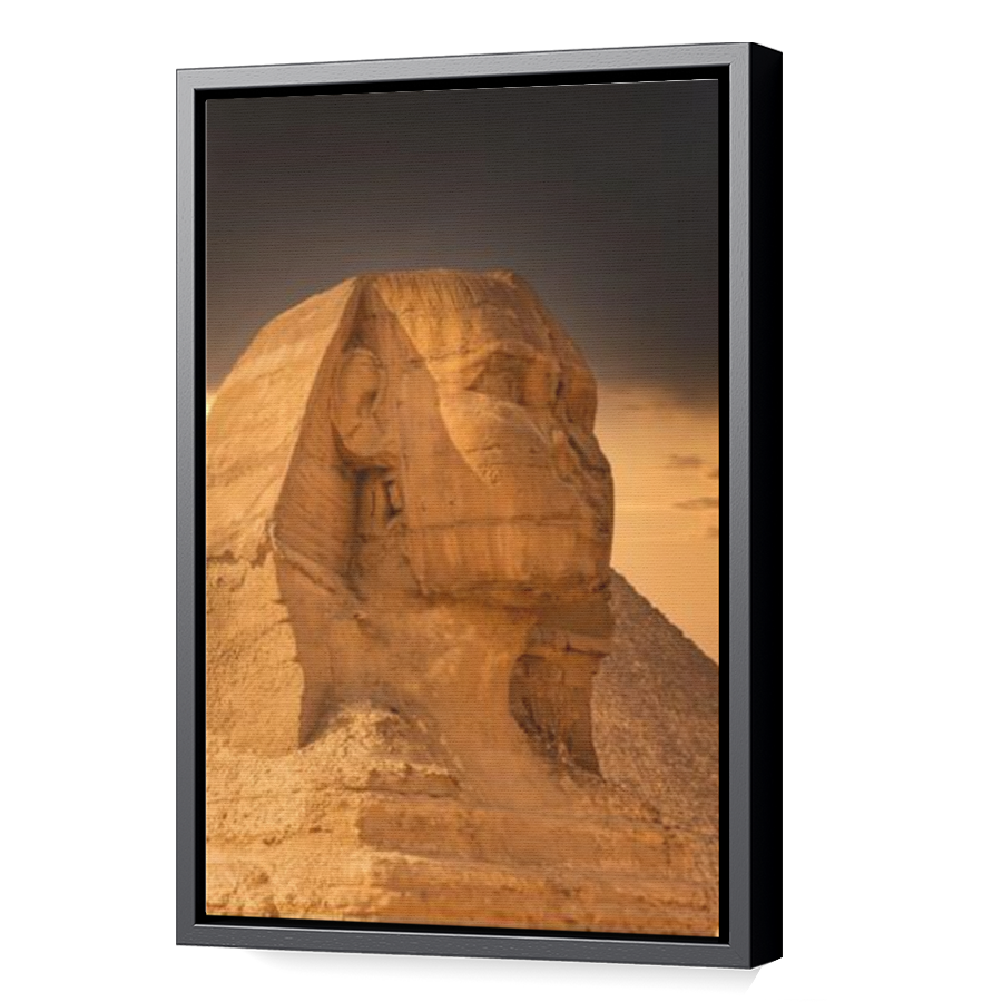 Thumbnail for Canvas - Black Floating Frame
