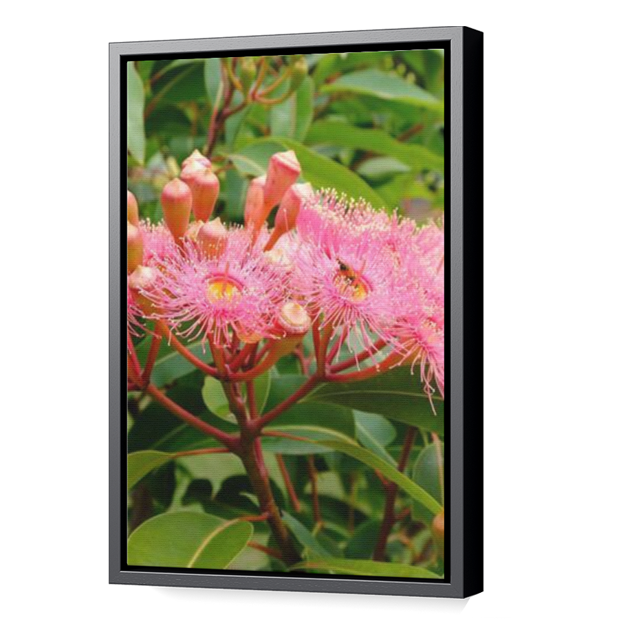 Thumbnail for Canvas - Black Floating Frame