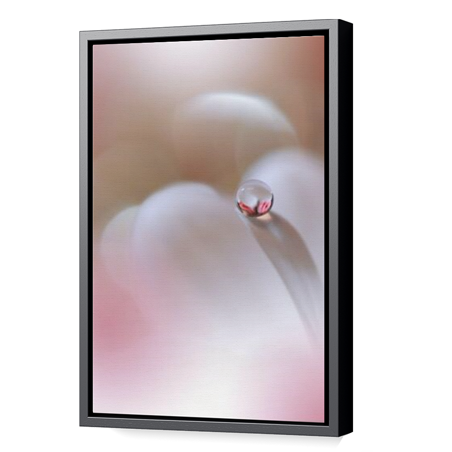 Thumbnail for Canvas - Black Floating Frame