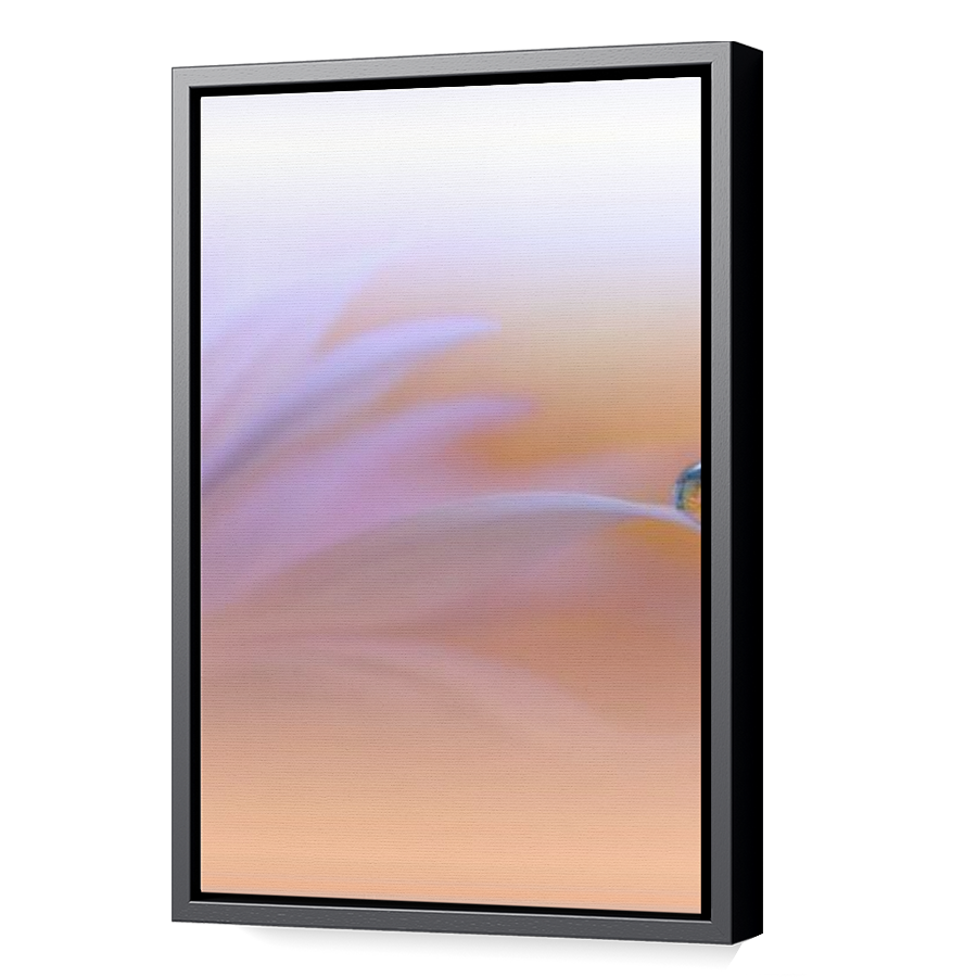 Thumbnail for Canvas - Black Floating Frame