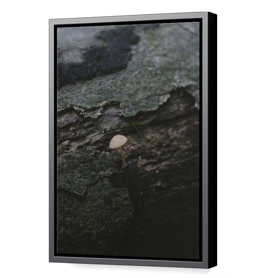 Thumbnail for Canvas - Black Floating Frame