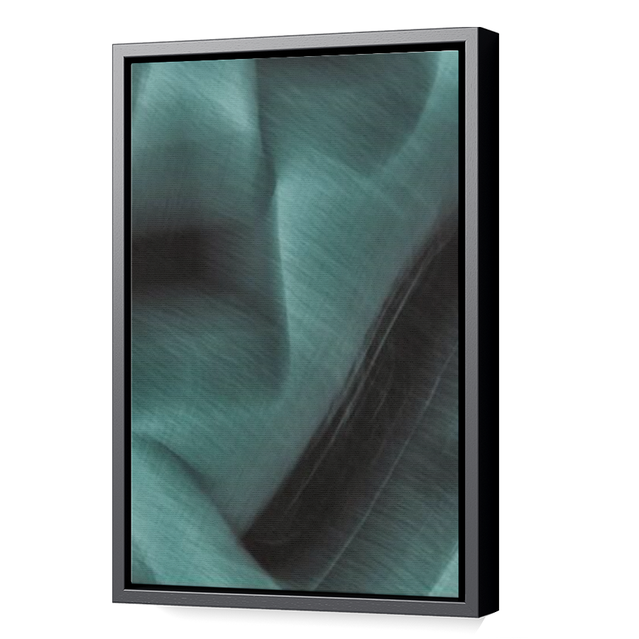 Thumbnail for Canvas - Black Floating Frame