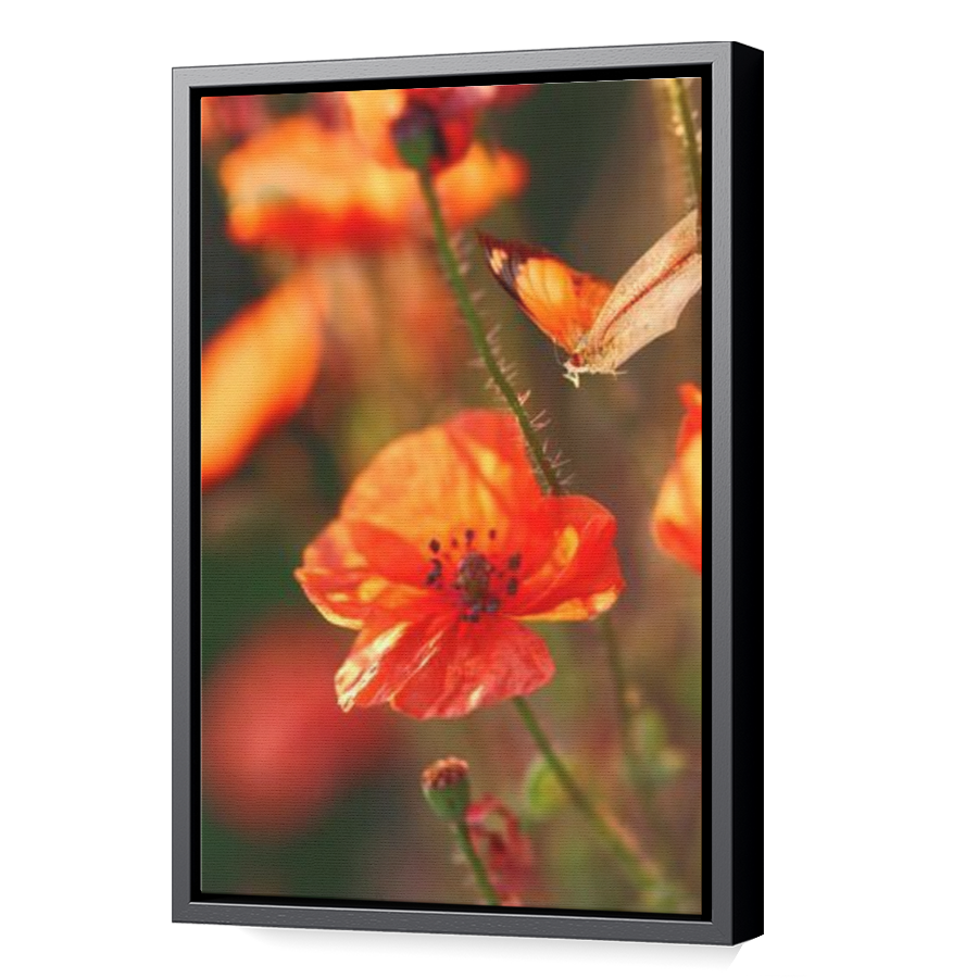 Thumbnail for Canvas - Black Floating Frame