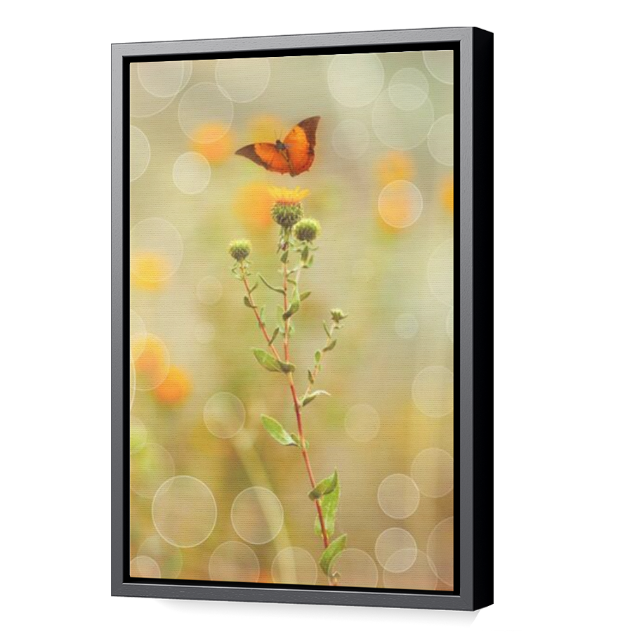 Thumbnail for Canvas - Black Floating Frame