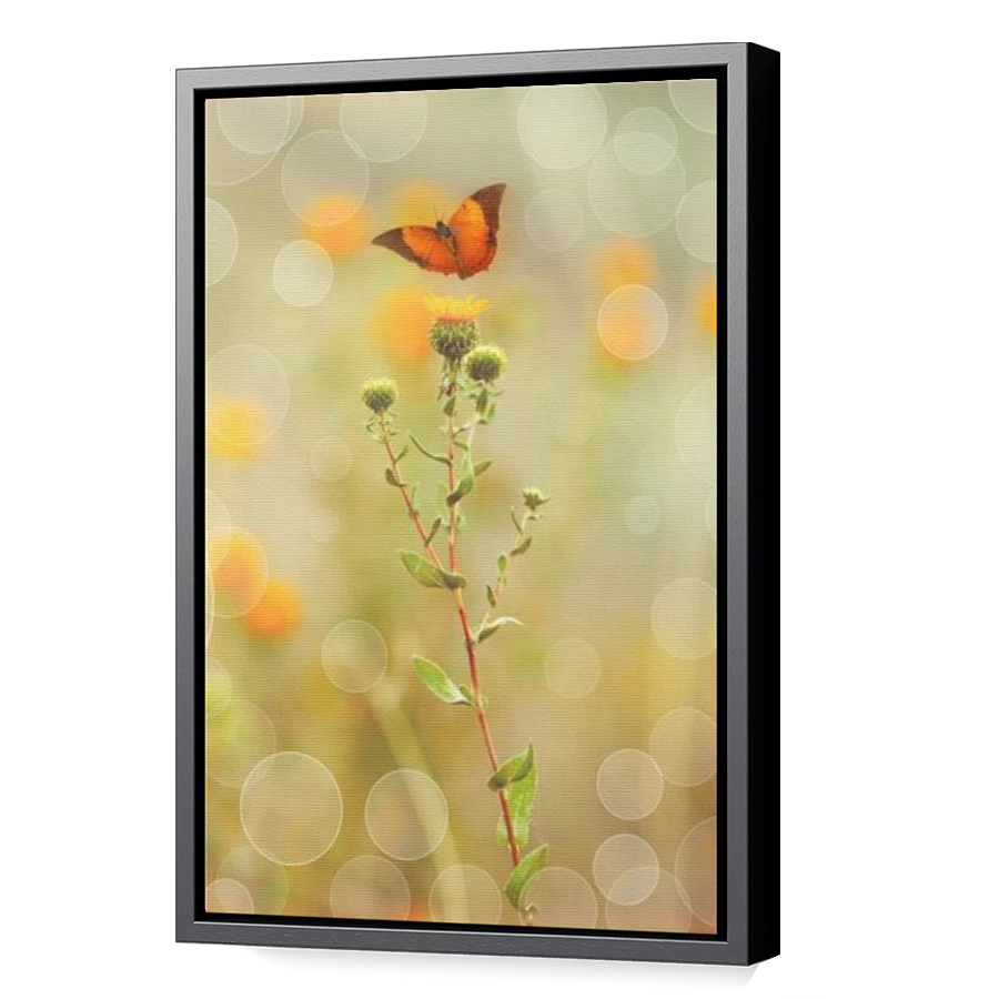 Thumbnail for Canvas - Black Floating Frame