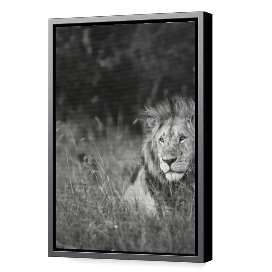 Thumbnail for Canvas - Black Floating Frame