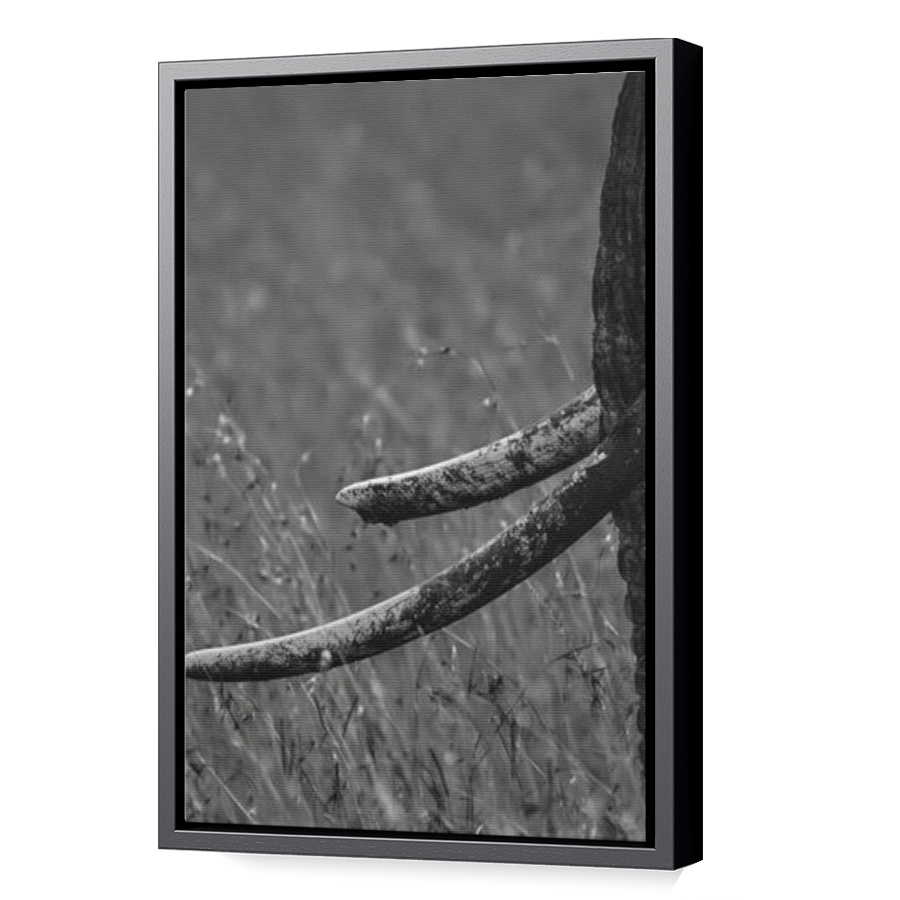 Thumbnail for Canvas - Black Floating Frame