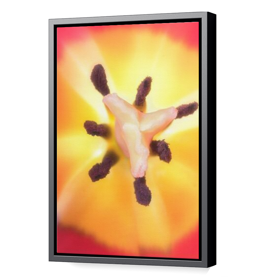 Thumbnail for Canvas - Black Floating Frame