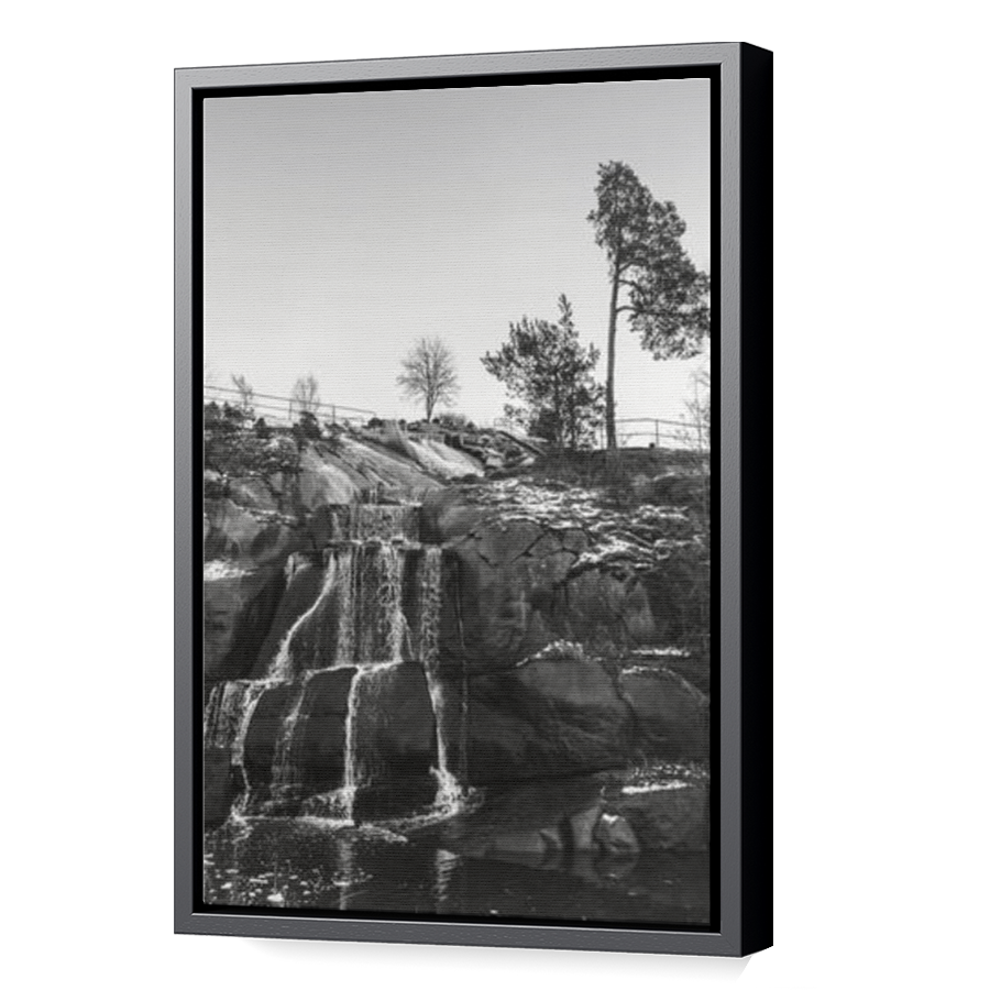 Thumbnail for Canvas - Black Floating Frame
