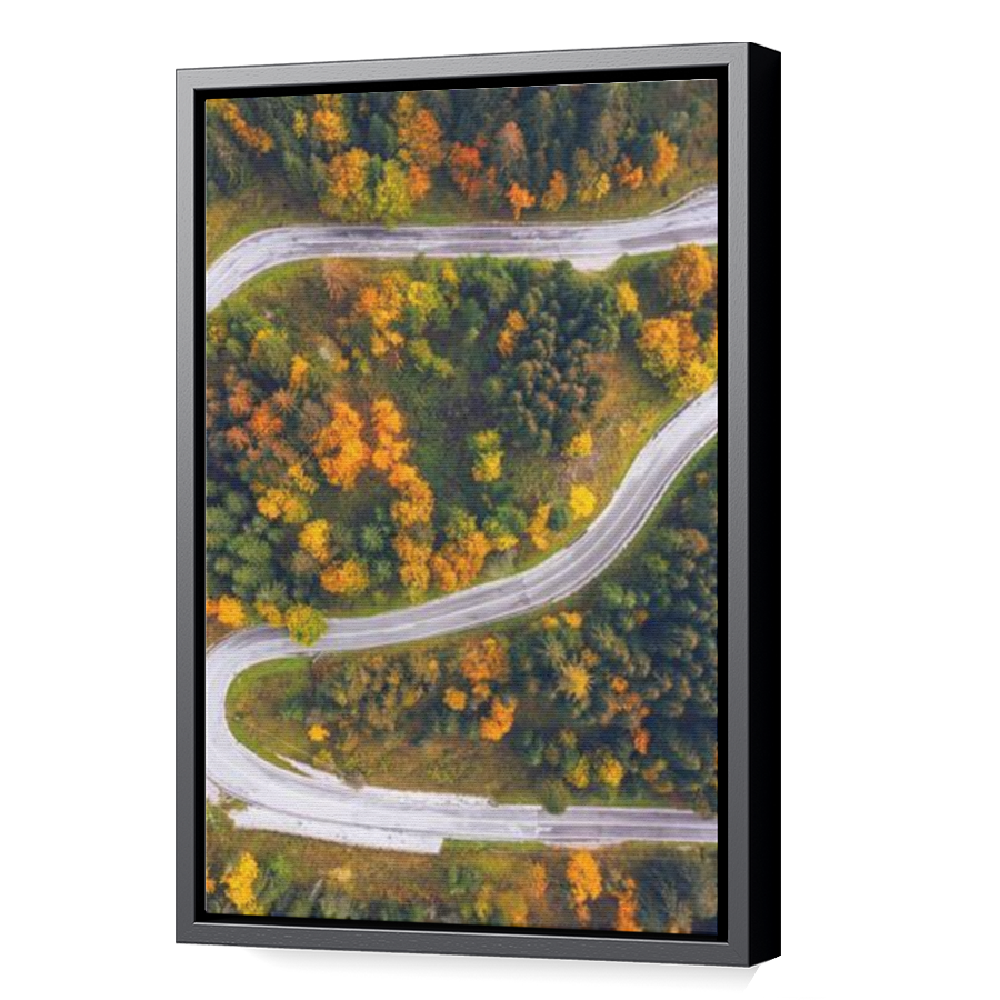 Thumbnail for Canvas - Black Floating Frame