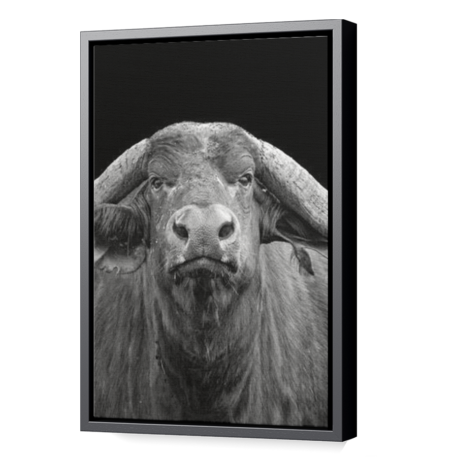 Thumbnail for Canvas - Black Floating Frame