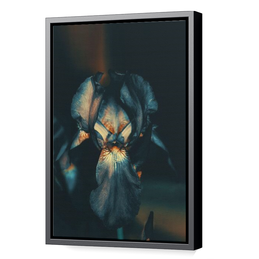 Thumbnail for Canvas - Black Floating Frame