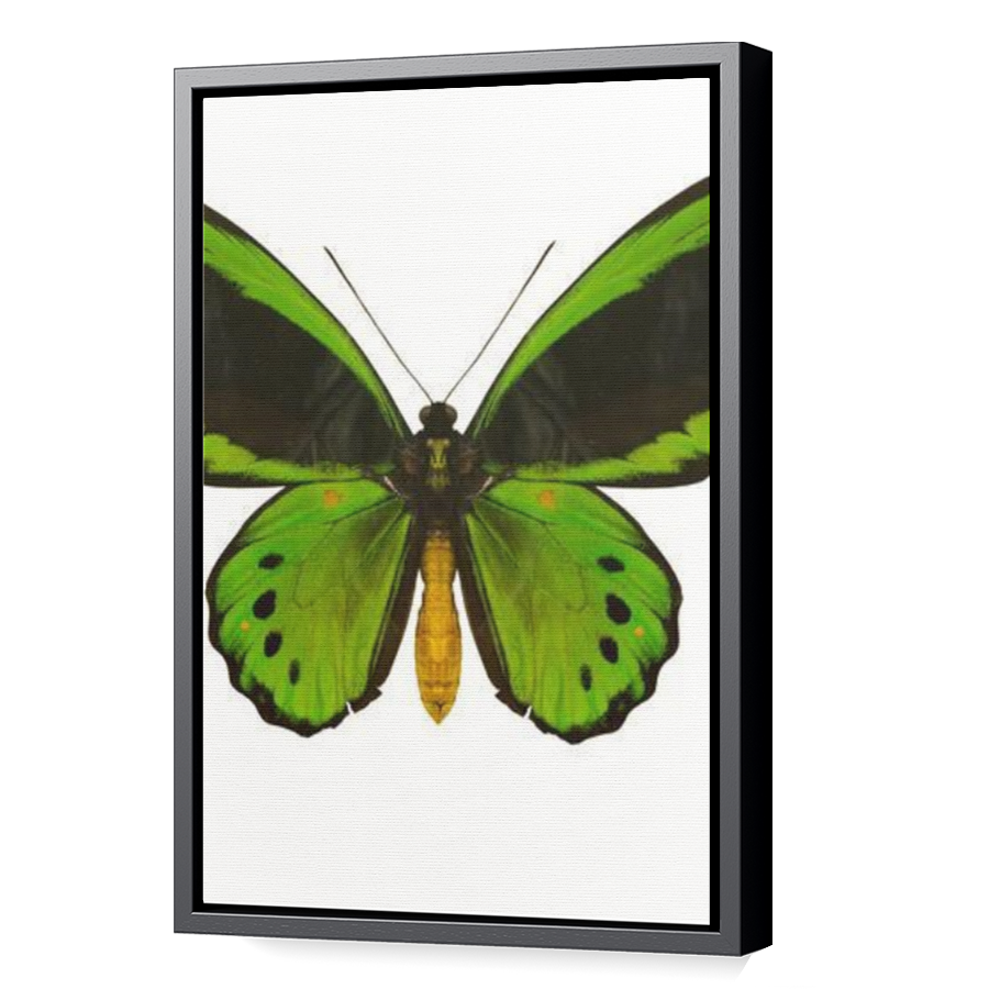 Thumbnail for Canvas - Black Floating Frame