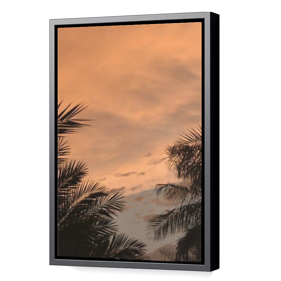 Thumbnail for Canvas - Black Floating Frame