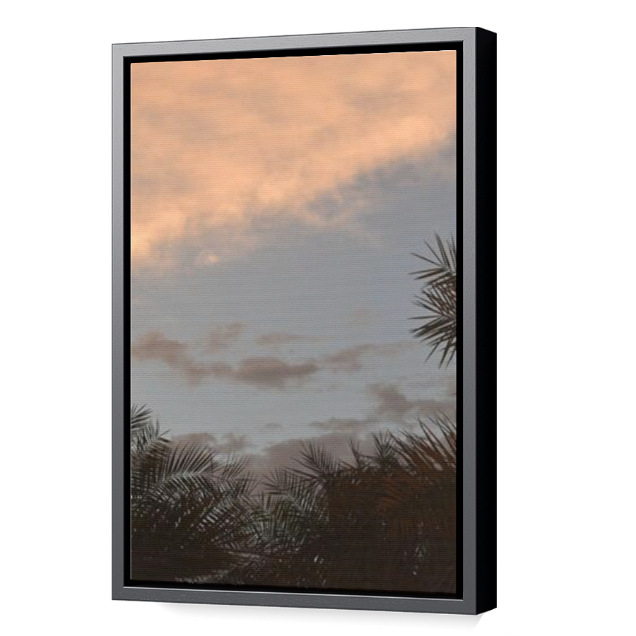 Thumbnail for Canvas - Black Floating Frame