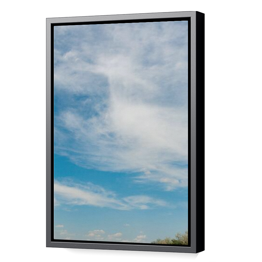 Thumbnail for Canvas - Black Floating Frame