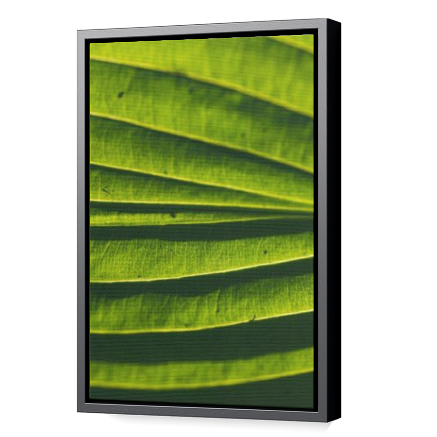 Thumbnail for Canvas - Black Floating Frame