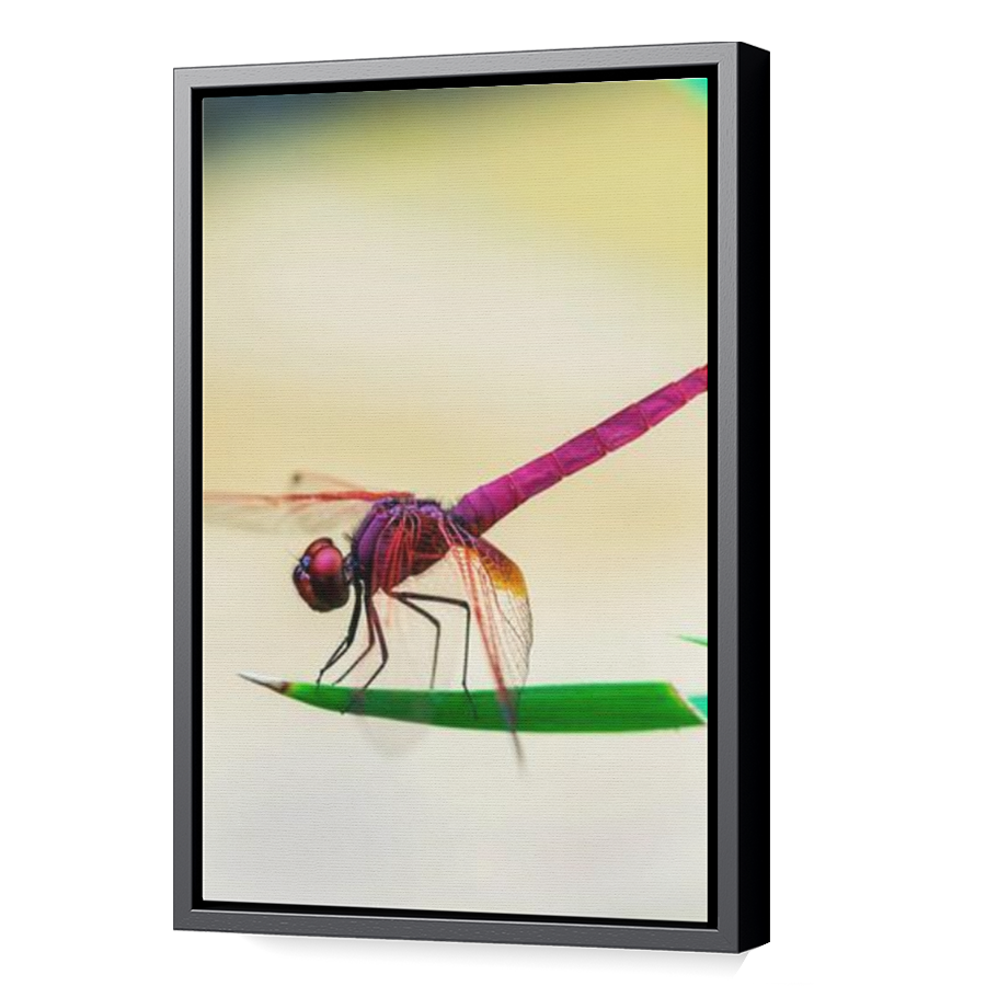 Thumbnail for Canvas - Black Floating Frame