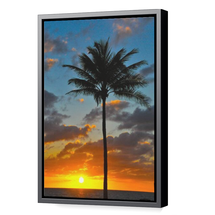 Thumbnail for Canvas - Black Floating Frame