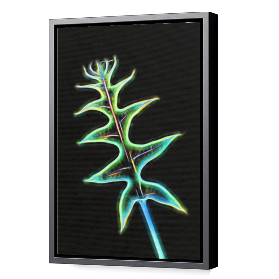 Thumbnail for Canvas - Black Floating Frame