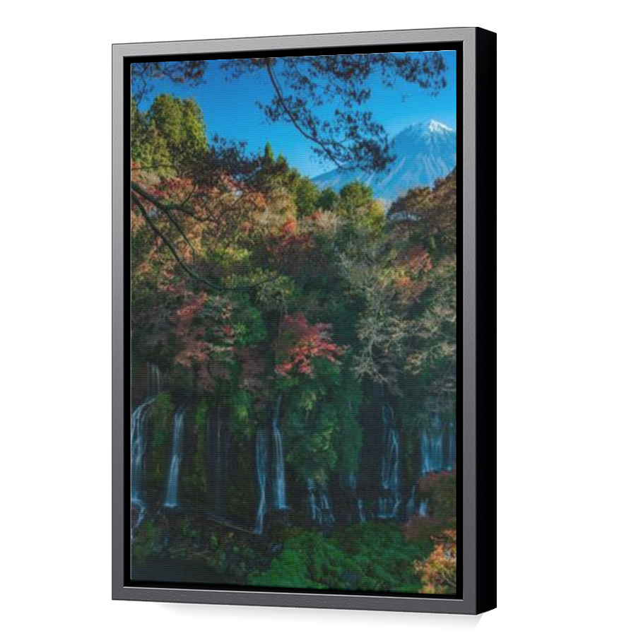 Thumbnail for Canvas - Black Floating Frame