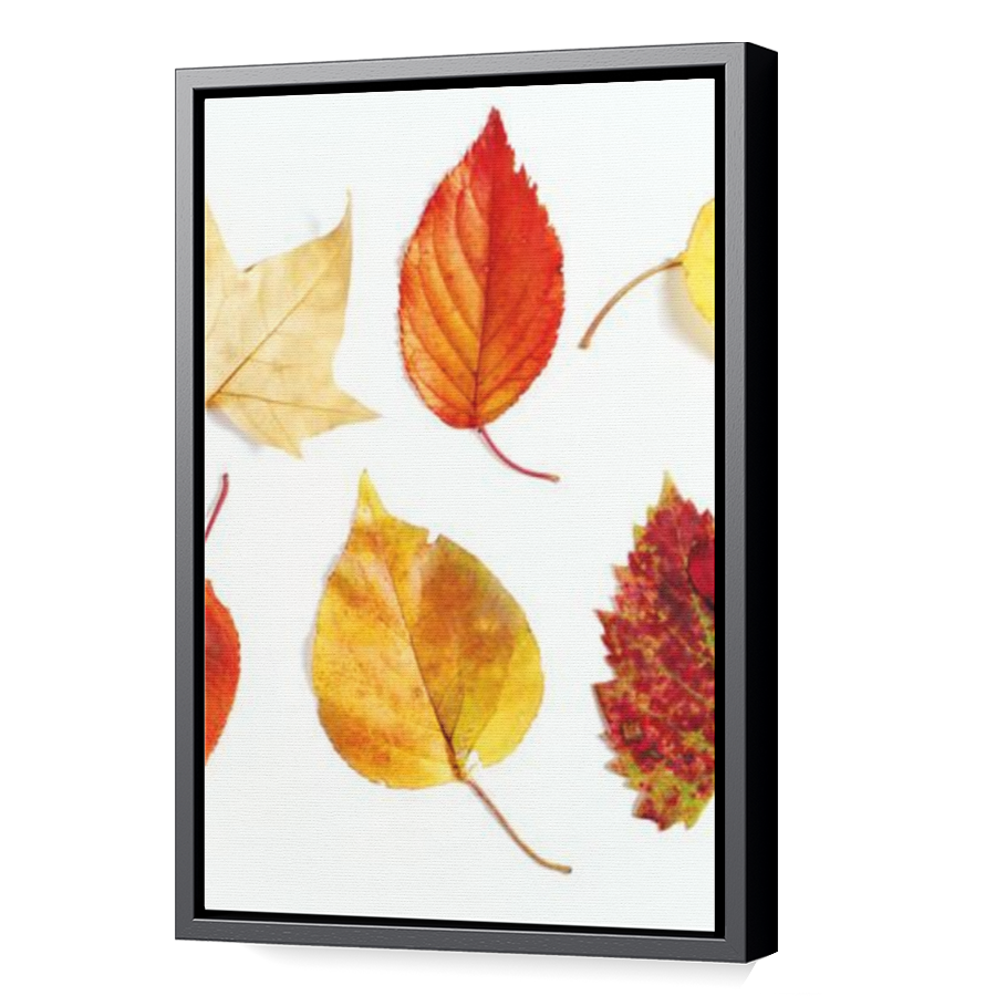 Thumbnail for Canvas - Black Floating Frame