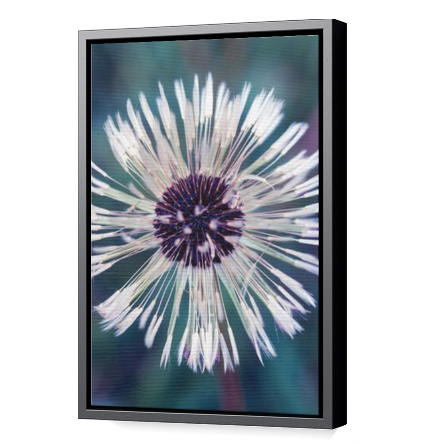 Thumbnail for Canvas - Black Floating Frame