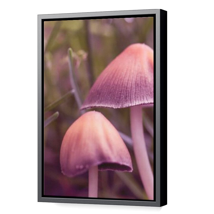Thumbnail for Canvas - Black Floating Frame