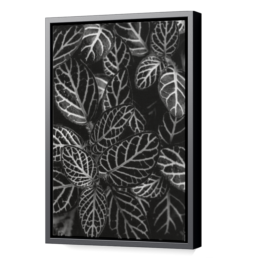Thumbnail for Canvas - Black Floating Frame