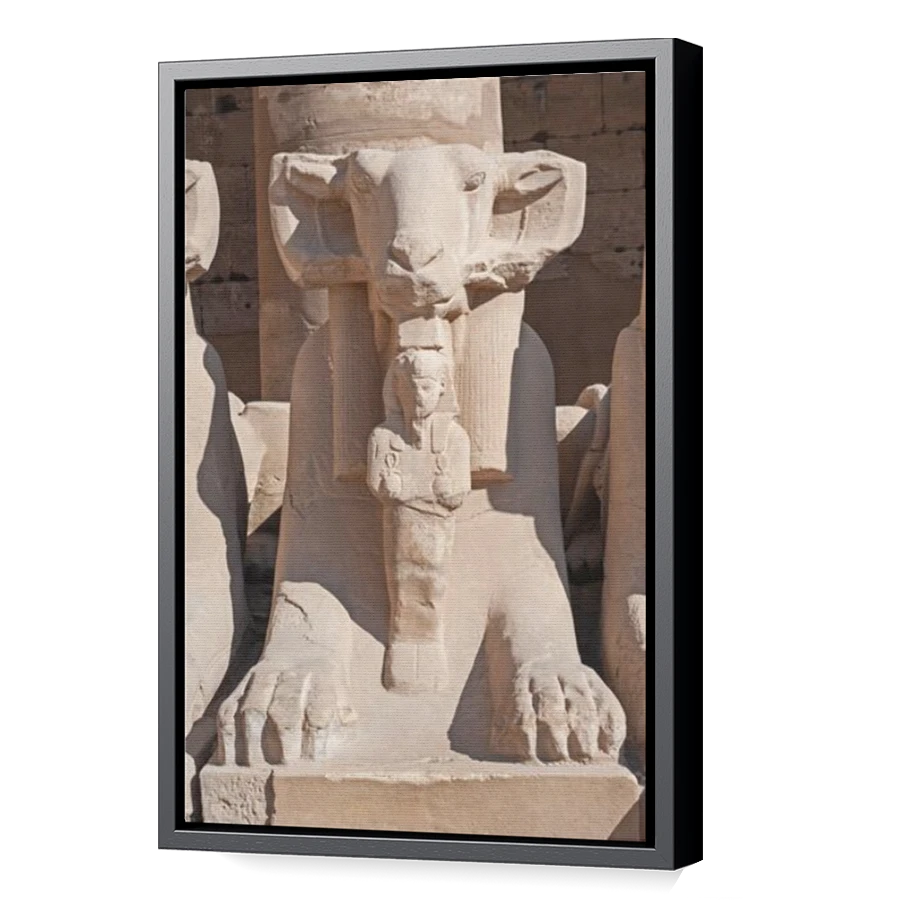Thumbnail for Canvas - Black Floating Frame