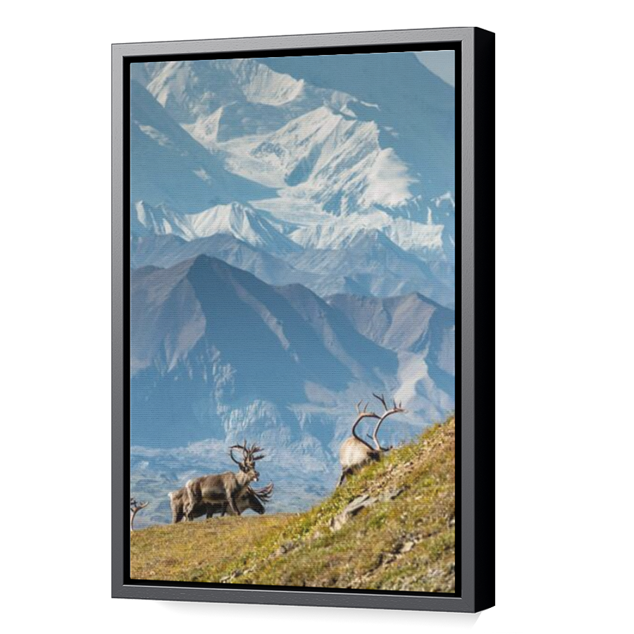 Thumbnail for Canvas - Black Floating Frame