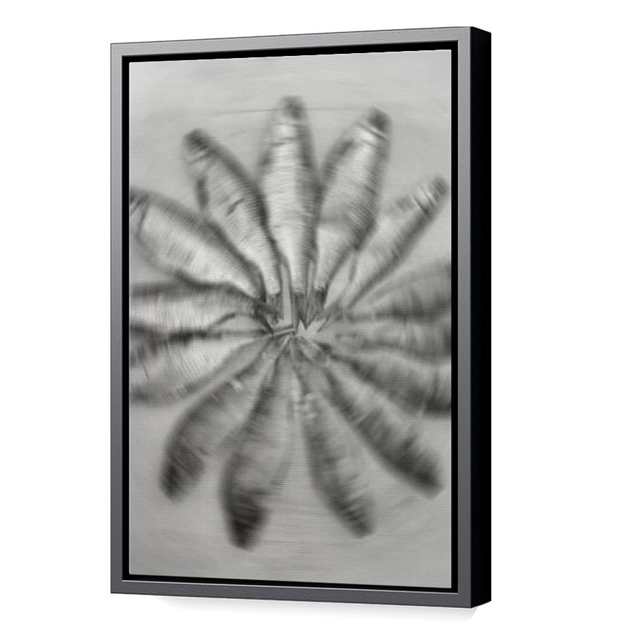 Thumbnail for Canvas - Black Floating Frame