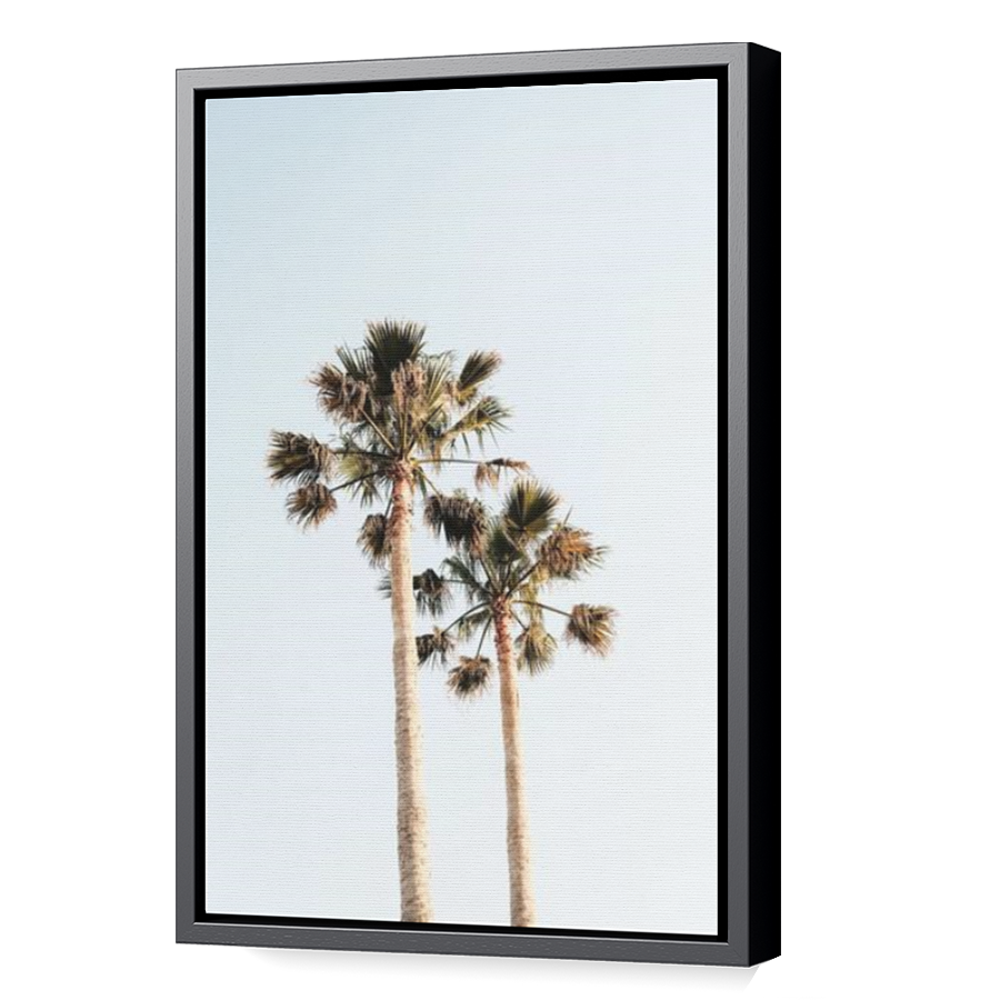 Thumbnail for Canvas - Black Floating Frame