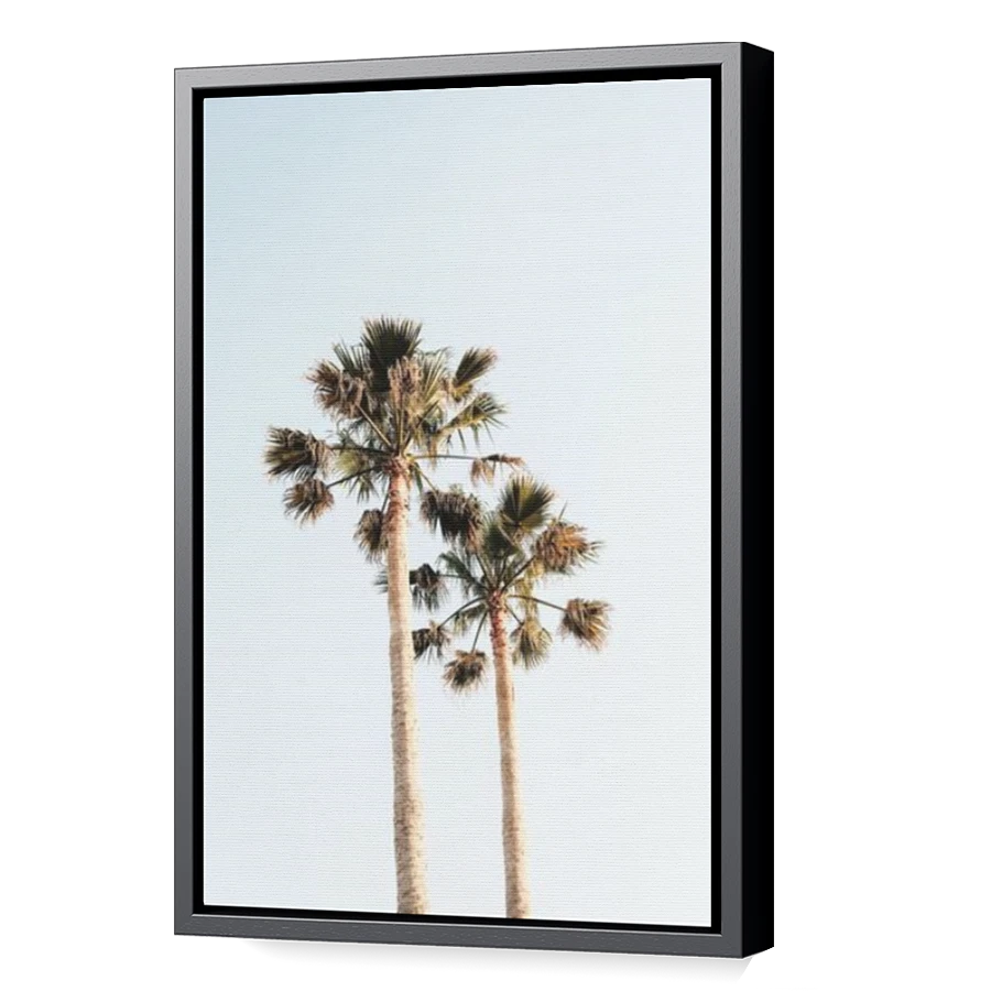 Thumbnail for Canvas - Black Floating Frame