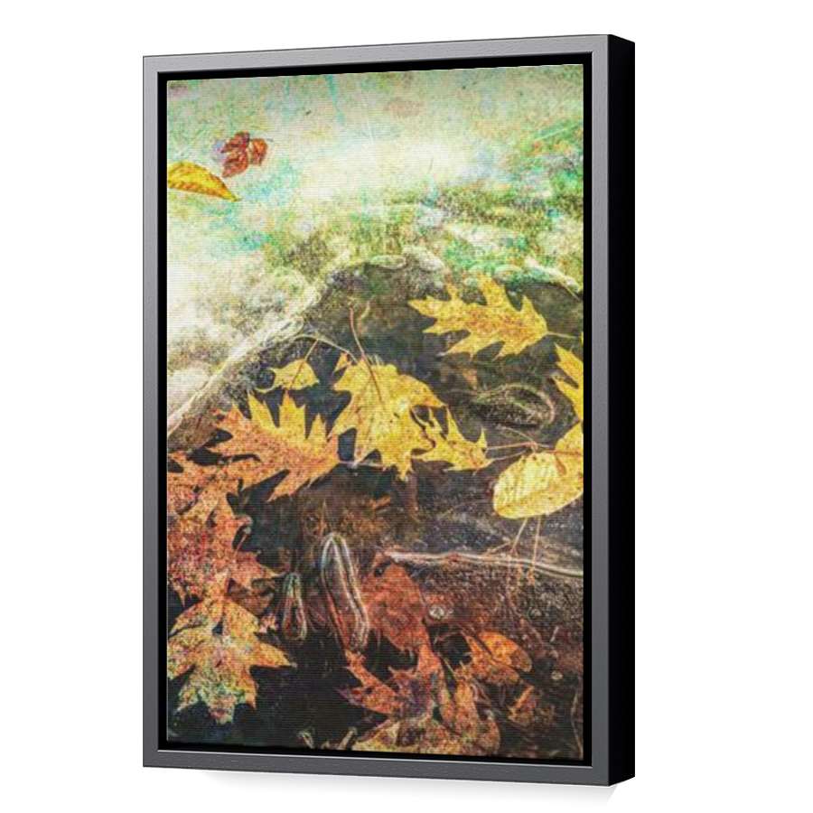 Thumbnail for Canvas - Black Floating Frame