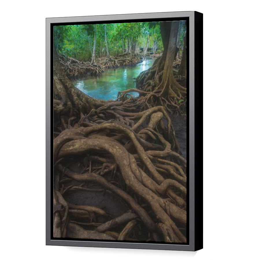 Thumbnail for Canvas - Black Floating Frame