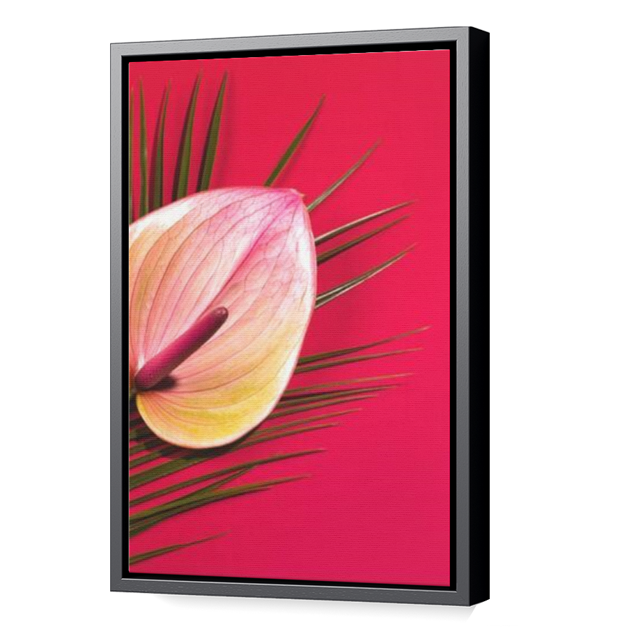 Thumbnail for Canvas - Black Floating Frame