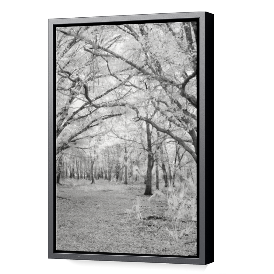 Thumbnail for Canvas - Black Floating Frame